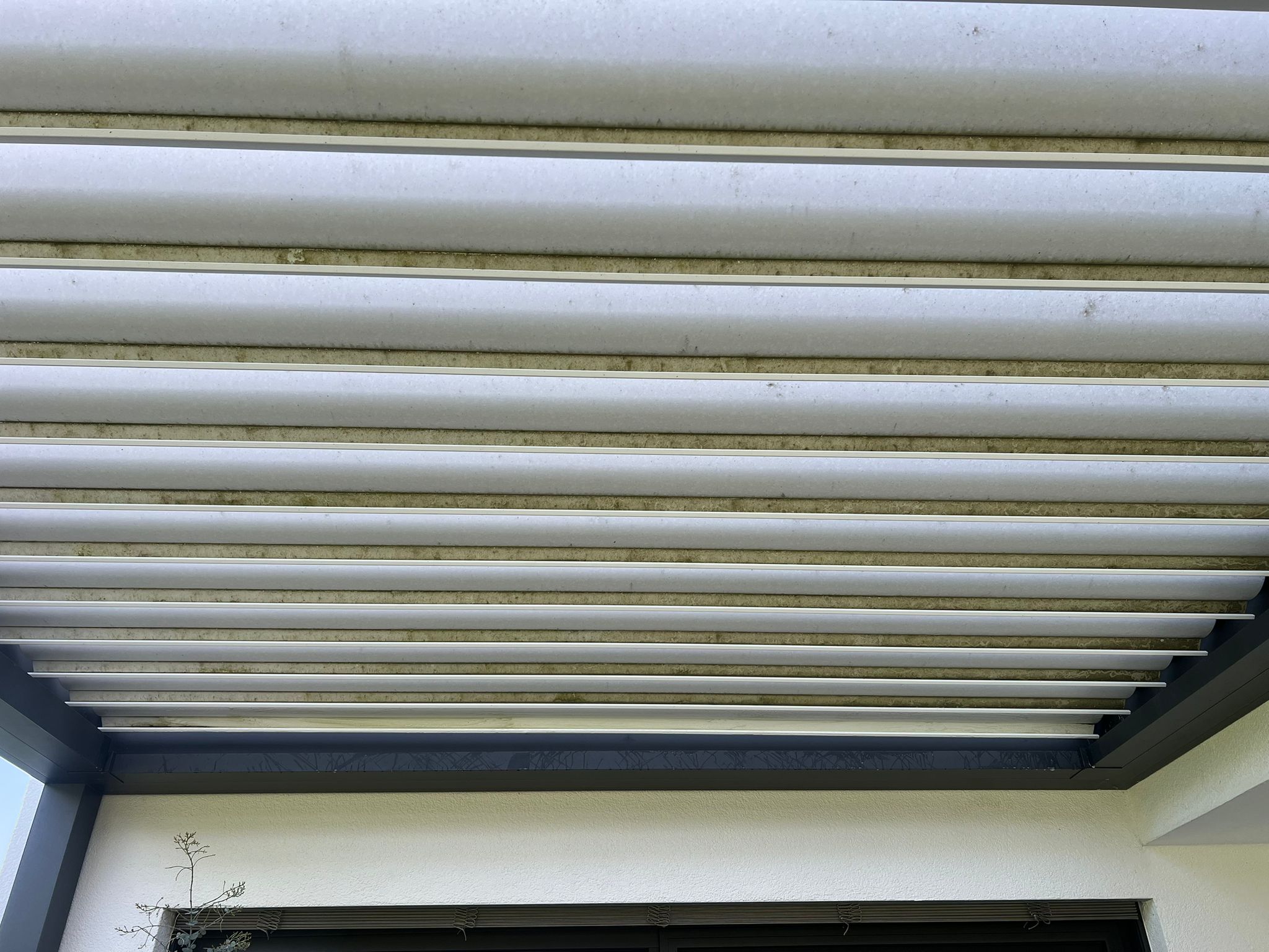 Bodenreinigung vorher